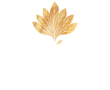 The Dawn Mist